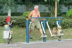 8月14日，湖南张家界。老爷爷骑自行车带俩小狗到公园锻炼，画面温馨，网友感叹“我老了以后也这样过……”视频封面