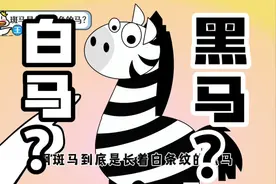 斑马到底是长着白条纹的黑马，还是长着黑条纹的白马呢？#二次元视频封面