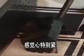 餐厅吃饭老鼠从天而降，女子头皮被抓破，医生诊断为狂犬病暴露三级@抖音短视频视频封面