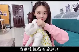 征服猫主子第一步，请立马扼住它命运的后脖颈奥#养猫养猫 @抖音短视频视频封面