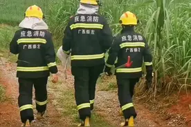 暑假抓蛇连续剧来了（三）（有十八斤…也不懂是不是真的）#崇左消防抓蛇 #未完待续 #热门 视频封面