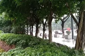 广州市天河区天河北路中信大厦，，，2021.3.4日上午八点.视频封面