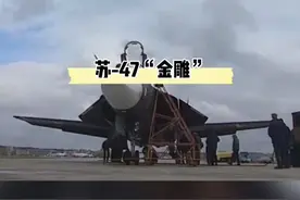 对有的人来说，这可能是苏霍依飞机的颜值巅峰了：苏47#dou出新知 #航空视频封面
