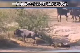 帮助你的人，或许不是你身边的朋友