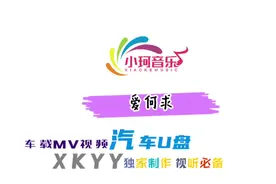 车载U盘 高清MV 专业大屏观看 可好了视频封面