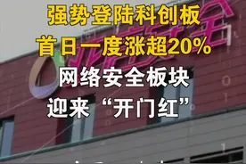 亚信安全强势登陆科创板，首日一度涨超20%，网络安全板块迎来“开门红”
