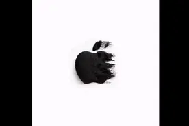 快镜头下的苹果7P换尾插。#手机维修