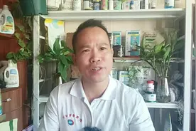 带你认识50种玫瑰月季花，各有千秋，你喜欢吗？#养花小知识视频封面