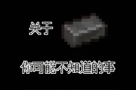 距离开庭还有两天#迷你世界告上了法庭 #我的世界下界更新 @DOU+小助手 #dou上热门视频封面