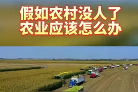 假如农村没人了，农业将会怎么样？#三农 #乡村振兴 #返乡