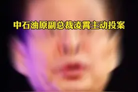 #中石油原副总裁凌霄主动投案 目前正接受审查调查视频封面