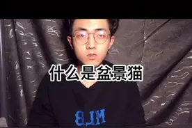 猫可以被装进瓶子当盆景？盆景猫事件的真相！#dou出新知视频封面