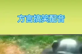 #南京六合话 #搞笑配音@抖音短视频视频封面