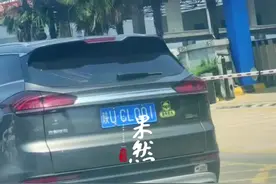 越野车停上“树顶”？视频封面