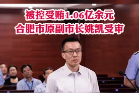 被控受贿1.06亿余元合肥市原副市长姚凯受审#庭审视频封面