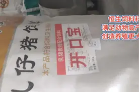 【恒生】饲料科技:  【血黄金】母猪气血足，产仔数多视频封面