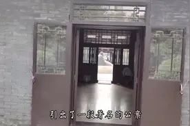 千里问书之人物篇——曹雪芹的祖籍究竟是不是在辽阳？#传承文化视频封面