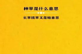 种草、长草、拔草网络上是什么意思？#冷知识#知识分享视频封面