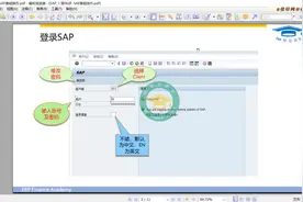 SAP软件 基础操作（上）#财务 #会计实操 #审计 #财务人 #sap