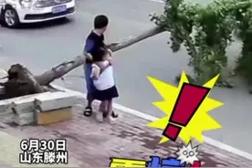 6月30日，山东滕州，大风中哥哥护住妹妹，下一秒，身后一棵树忽然倒下。大风天外出一定注意安全！#大风 视频封面