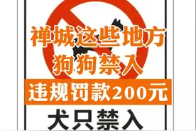 铲屎官注意！佛山禅城这些地方狗狗禁入，违规将罚款200元 #佛山#禅城#狗狗#犬只禁入场所 视频封面
