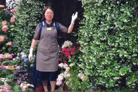 问我的风车茉莉是怎么爬上去的？我怎么好像什么都是“非常的简单”【捂脸】因为我是动手派！视频封面