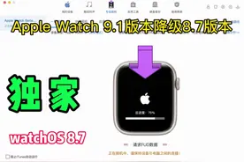 Apple Watch S5降级8.7#苹果手表 #applewatch #iwatch #沙漏助手