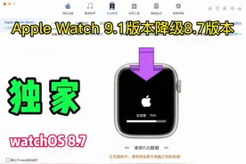 Apple Watch S5降级8.7#苹果手表 #applewatch #iwatch #沙漏助手