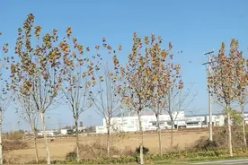 孝感南站改怎么设计？建筑设计方案开始征集了！