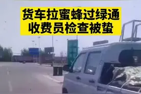 货车拉蜜蜂过绿通，收费员检查被蛰 #执法 #货车视频封面