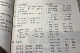#四年级下册语文 第一单元复习要点#课文 重点汇总#小学语文视频封面