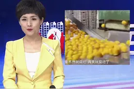 放两个月都不会烂的沃柑，果农从来不吃，你敢吃吗？#315视频封面