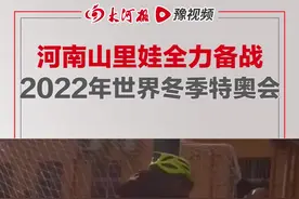 近日，河南洛阳，折翼天使逆风飞翔！河南山里娃全力备战2022年世界冬季特奥会，曾在全国特奥季摘取22金#河南山里娃全力备战2022年世界冬季特奥会#大河报河南 视频封面