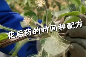 花后药有一个最好的时间点，具体怎样打
