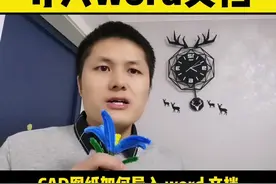 #CAD#CAD教程 如何把CAD图纸快速导入word文档？@DOU+小助手 