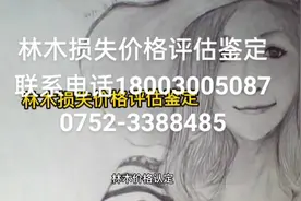 砍伐树木损失价格评估鉴定视频封面