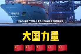 亚洲开发银行首席代表本·滨翰：中国在国际合作协议的深化上有显著优势。视频封面