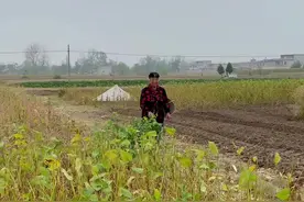 带大家重温一下农村争地边子的场景！你们村有这样的吗？#农村婆媳生活记录 @抖音短视频视频封面