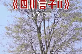 你还晓得哪些“子”？#四川话 #四川方言  #愚人节 视频封面