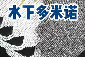 最大规模的水下多米诺骨牌#吉尼斯世界纪录大全 #多米诺骨牌视频封面