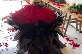 666朵玫瑰代表我对你的爱永不变#浪漫求婚 #巨型花束视频封面