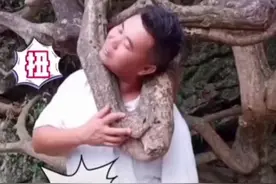 【#男子头卡在树枝中出不来#男子：我的笑只是我伪装的保护色】