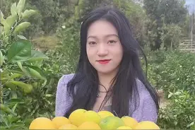 一大一小69.9随便摘随便吃！还能带走八斤，还有农家午饭！永春采摘芦柑也太爽了吧！#福建美好生活推荐官 #跟着抖音来探店 #丰盛芦柑脐橙自采果园 #永春芦柑正值采摘季节 #吃喝玩乐dou起来视频封面