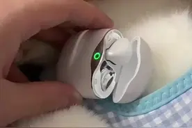 猫咪误食主人无线耳机变成“猫咪耳机”，主人：这是它吃的第三个耳机。@小铭的小小