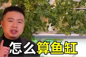 鱼缸有多少升水怎么算？教你正确的计算公式 #观赏鱼 #养鱼视频封面