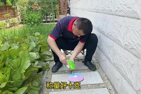 黄瓜白粉病一招轻松解决 #种植小技巧 #农业种植 #知识分享视频封面