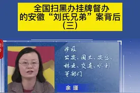 全国扫黑办挂牌督办的安徽“刘氏兄弟”案背后 