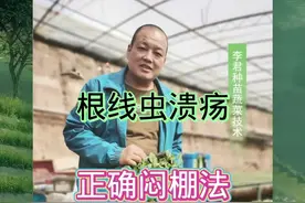 正确闷棚细听完#高温闷棚 #抖音助农 #抖音新农人 #蔬菜种植 @抖音三农 视频封面