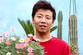 玛格丽特非常好养，属于多年生植物，一棵就能花开上百朵，持续开半年！@抖音短视频视频封面