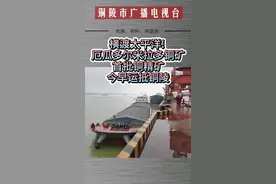 厄瓜多尔米拉多铜矿首批铜精矿今早运抵铜陵视频封面